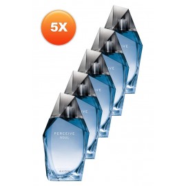 Avon Perceive Soul Erkek Parfüm Edt 100 Ml. Beşli Set